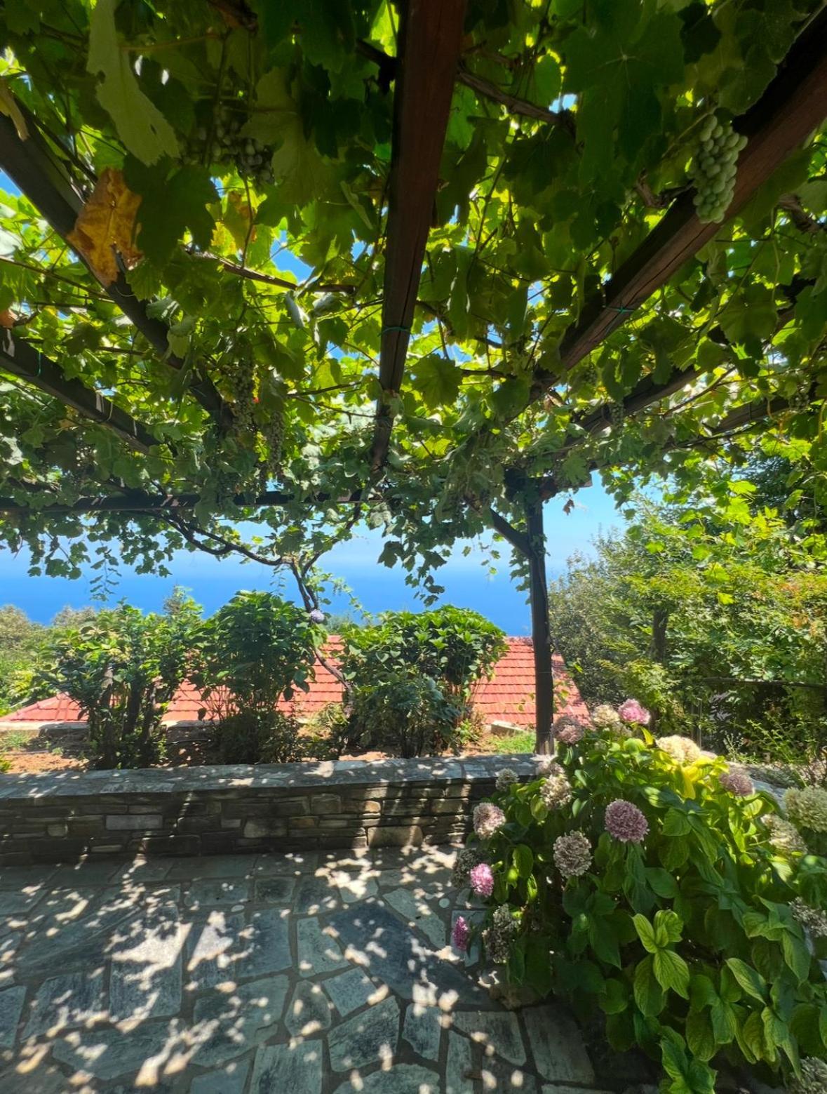 Apartamento Om Living Pelion Áyios Dhimítrios Exterior foto